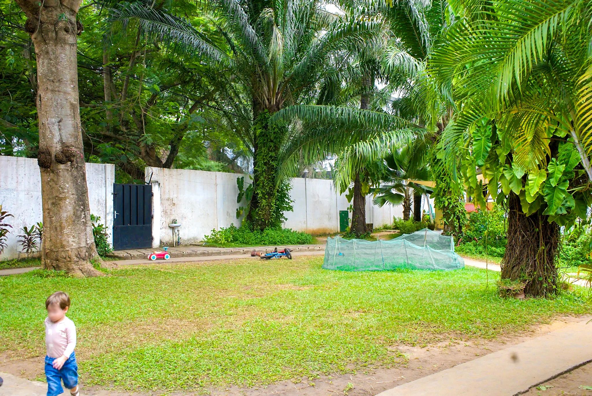 Le jardin, vaste et clos